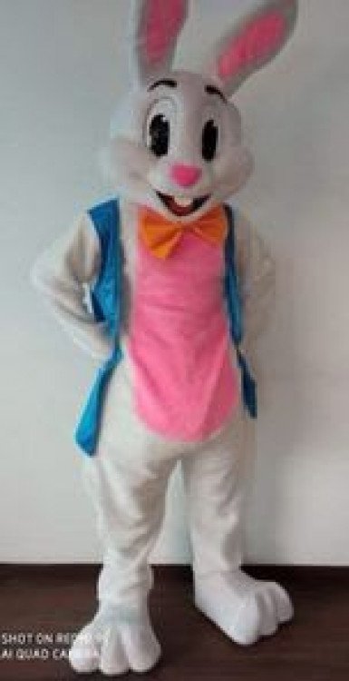 Easter Bunny Boy 1 Hour