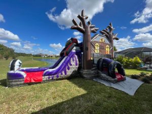 336368693 736282434869611 6975739533202321815 n 1679342261 big Planning a Memorable Birthday Party with Sharky's Themed Bounce Houses