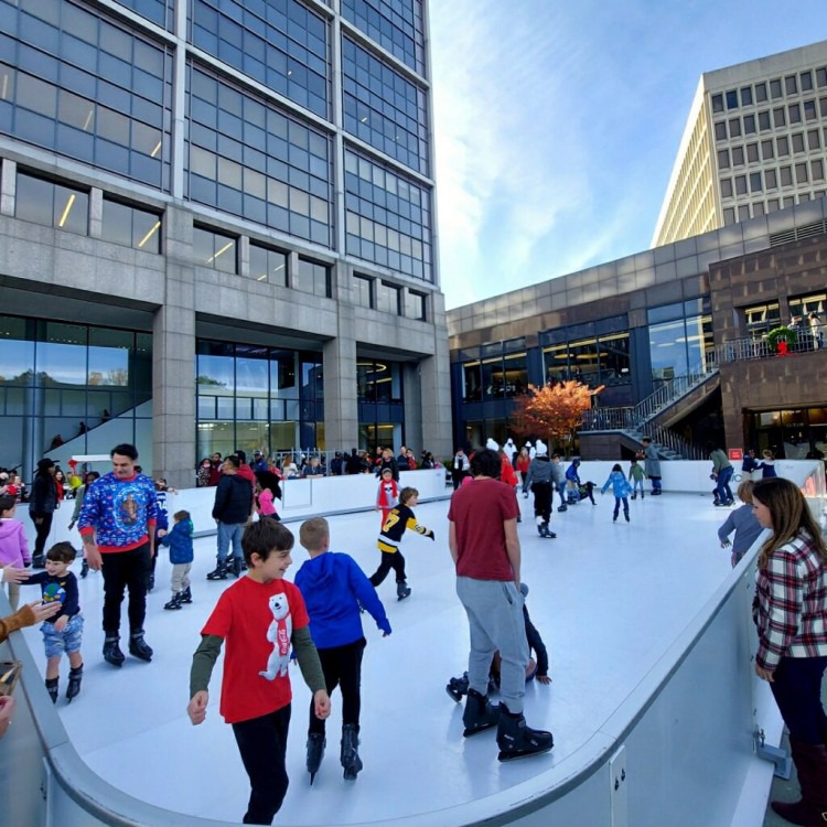 Portable Ice Rink