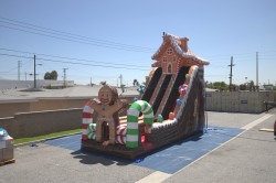 27' Gingerbread Dual Lane Dry Slide