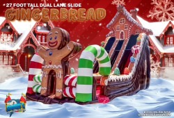 27' Gingerbread Dual Lane Dry Slide