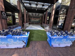 Portable Ice Rink IMG 5648 1765570299 Portable Ice Rink