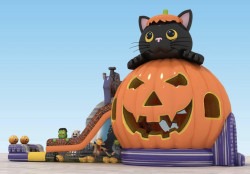 Cat-O-Lantern Combo
